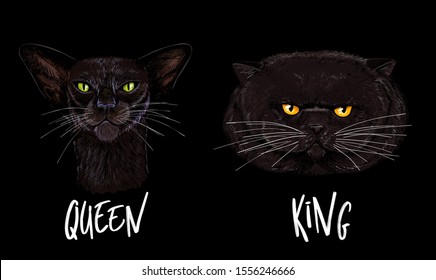 Couple illustration, two black cats faces with hand written words QUEEN and KING, hand drawn vector illustration