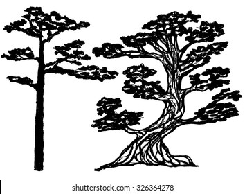 Couple of ink conifer trees. Natural design element. Vector illustration. Pine-tree ink silhouette