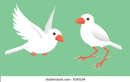 a couple of the java sparrow