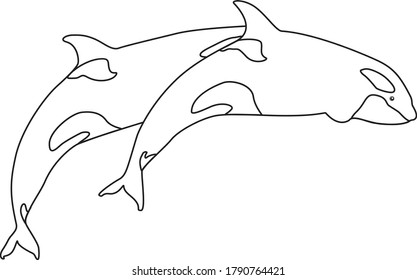 Couple of Killer Whales Line Art. Coloring Outline Vector. Sea Life Symbol.