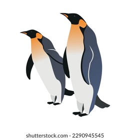 Couple of king penguins isometric vector illustration
