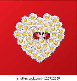 Couple of ladybugs on white daisey background