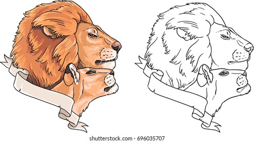couple lions