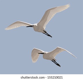 Pareja de pequeñas ovejas volando en el cielo azul