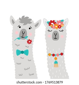  Couple llamas newlyweds. Pretty Alpaca. Vector illustration with llama faces for poster, postcard, t-shirt, sticker, etc.