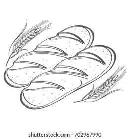 Couple of loaves of rye or wheaten bread. Monochrome vector Illustration isolated on white background