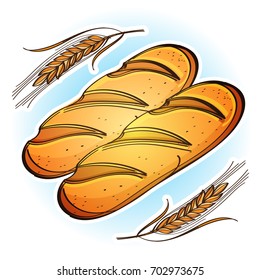 Couple of loaves of rye or wheaten bread. Colored vector Illustration isolated on white background