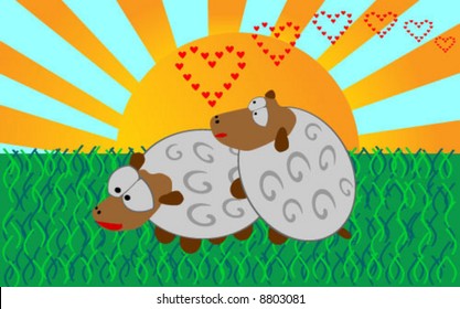 Couple of loving lambs - vector