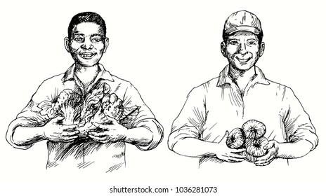 Couple of men picking vegetables. Hand drawn vector illustration.