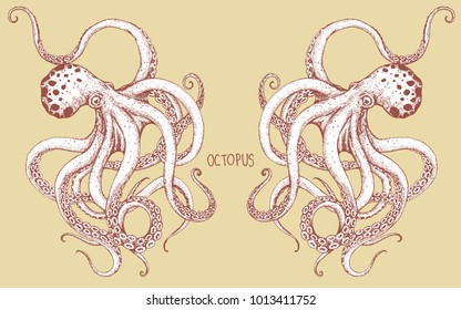 the couple octopus hand drawing.