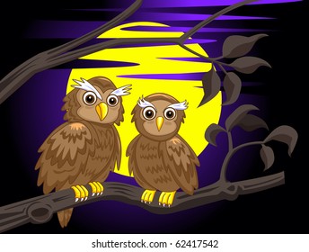 couple owl