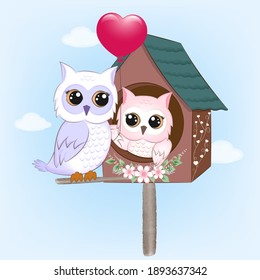 Couple owl and bird house valentine's day concept illustration