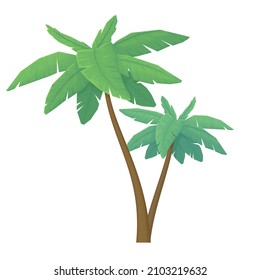 A couple of palm trees isolated on a white background. Tropical plants. Cartoon style illustration. Vector.