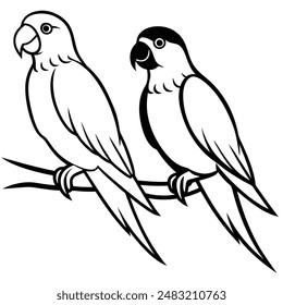 couple parrot bird silhouette Vector Art