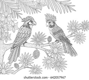 Couple of parrots sitting in the jungle on a palm tree page for adults coloring book in doodle style.