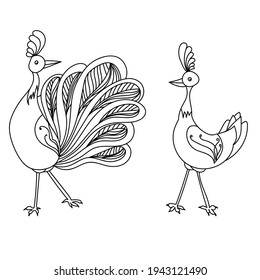 Couple of peacocks in doodle style, contour birds male and female, coloring page with cute characters vector illustration