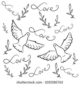 Couple of pigeons and olive branch