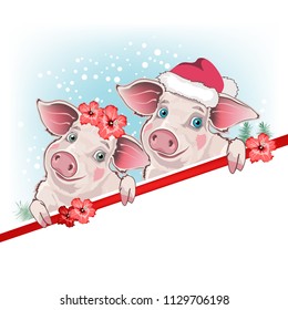 A couple of pigs, two pigs in a New Year's cap, a boy and a girl, a family of pigs, vector illustration