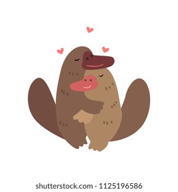 Couple of platypuses in love embracing each other, two happy  aniimals hugging with hearts over their head vector Illustration on a white background