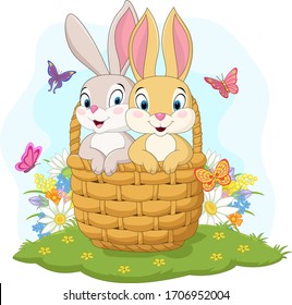 Couple rabbit cartoon in the basket