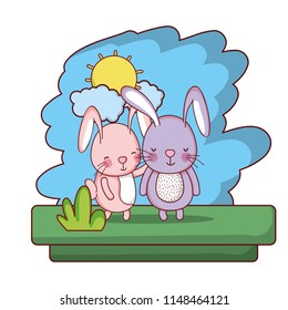 couple rabbit nice wild animal