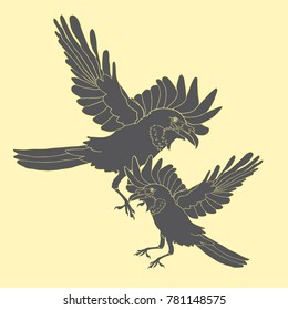 couple raven bird with wings black flies  vector illustration