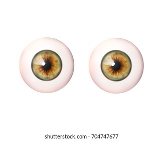 Couple realistic eyeball. Human eye. Vector illustration icon isolated on white.