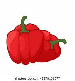 a Couple of Red Paprika Vector Illustration Isolated on White Background. Vegetables Vector Illustration