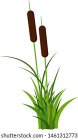 Couple of reed stem with leaves plant vector isolated on white background