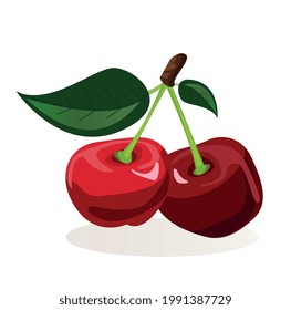 A couple of ripe cherries on a stick. Vector illustration on a white background