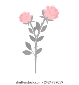 couple rose flower isolated on white background