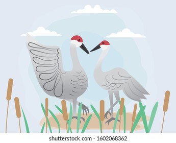 Couple Of Sandhill Crane And Cattail,vector Illustration For Valentine's Day.