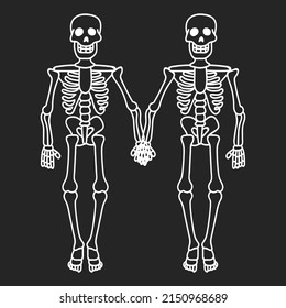 couple of skeletons holding hands, contour drawing of skeletons