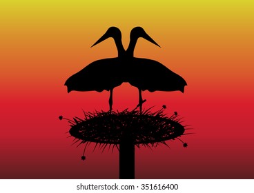 Couple storks on the nest on the sunset background