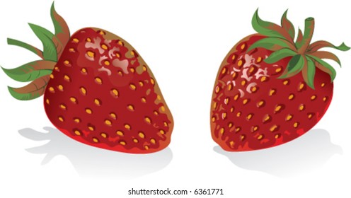 couple of strawberries - vector illustration