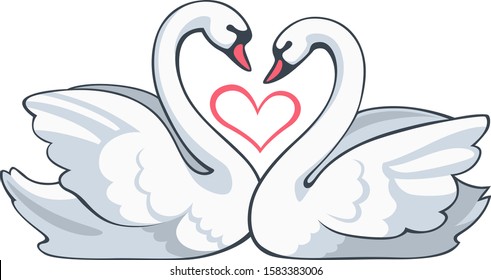 Couple swan on a white background