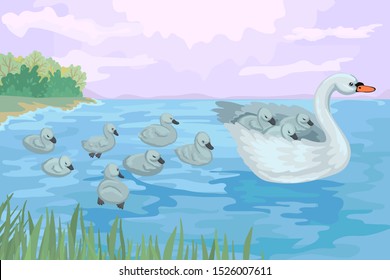 Couple of swans and brood of cygnets. Swimming in the pond or lake. Family of wild birds, waterfowl. Cute hand drawn animals. Trees and bushes on background. Cartoon vector illustration concept.