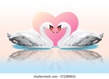 couple swans with colorful heart, valentines day card, symbol of love, vector illustration