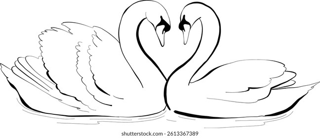 Couple of swans forming heart shape handmade illustration wedding vector	