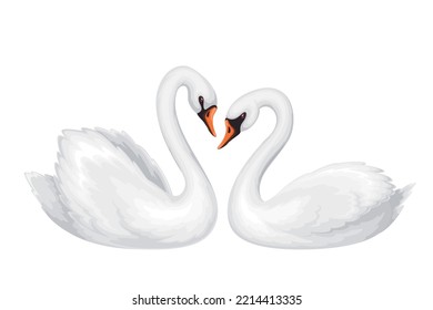 Ilustración vectorial de dos cisnes. La caricatura aisló a dos hermosos pájaros blancos nadando juntos, un lindo símbolo de amor y romance, ternura romántica y boda, elegante familia de cisnes en la naturaleza