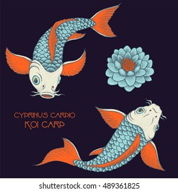 Couple of traditional japanese Fancy Carp. Hand drawn ink vector illustration