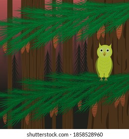 Couple trunks of coniferous tree has long branches with cones and one night bird