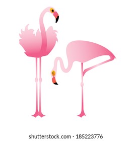 couple of vector pink flamingo