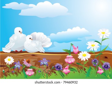 Couple of white pigeons with beautiful summer wild flowers