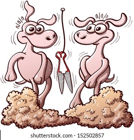 A couple of white sheep feeling embarrassed after having been sheared with a red clipper and not knowing how to react once they are completely naked