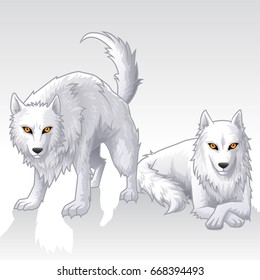 Couple white wolf standing and sitting vector.Hires illustration