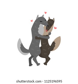 Couple of wolves cute in love embracing each other, two happy  aniimals hugging with hearts over their head vector Illustration on a white background