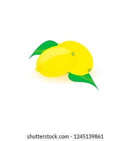 couple yellow lemons on green leaves. isolated vector illustration .