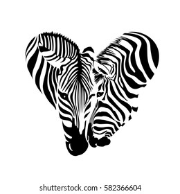 Couple zebra head in heart shape. logo design, Savannah Animal ornament. Wild animal texture. Striped black and white.Vector illustration isolated on white background.