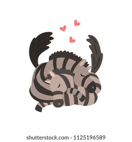 Couple of zebras in love embracing each other, two happy  aniimals hugging with hearts over their head vector Illustration on a white background